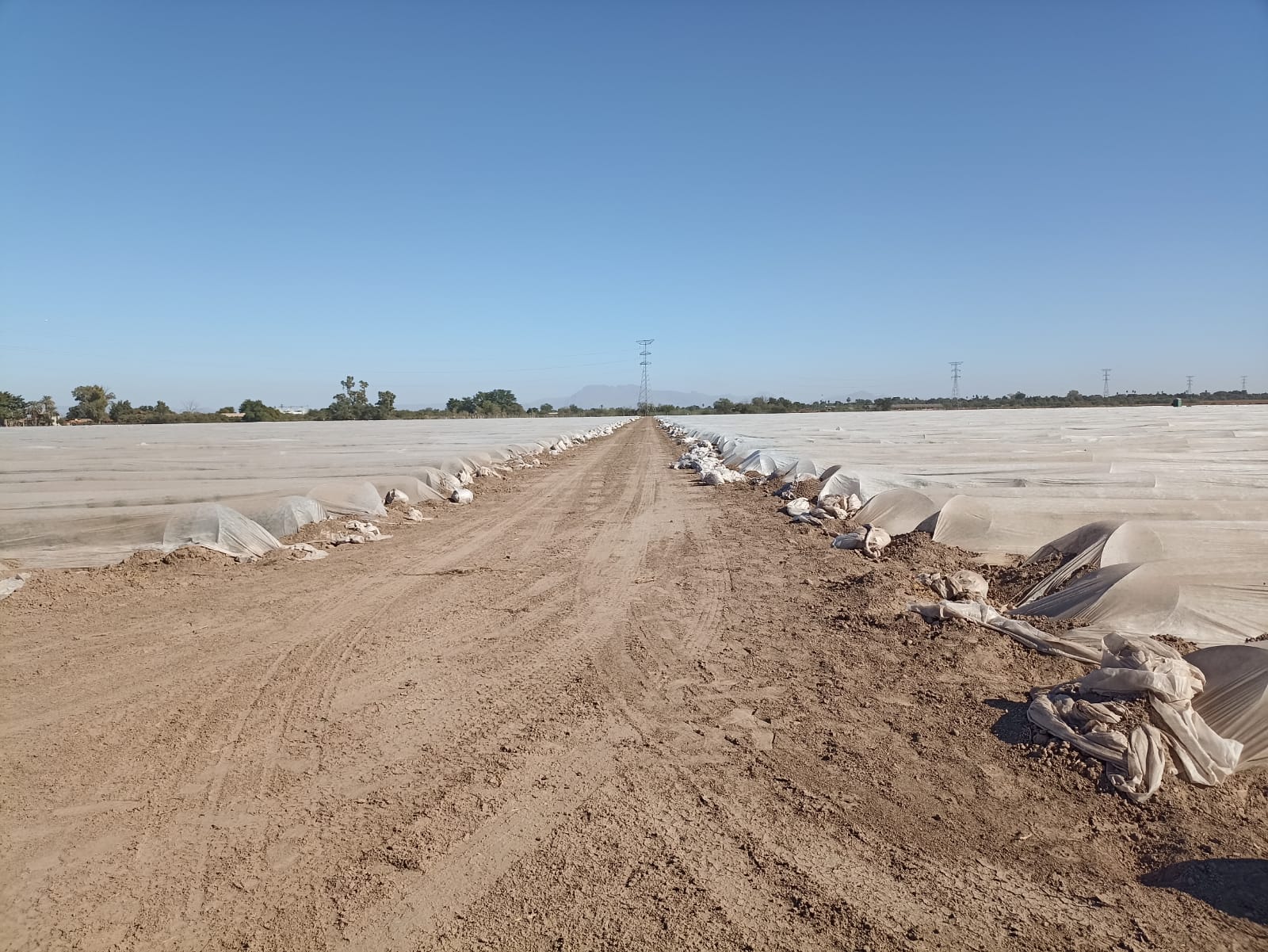 Emite Sagarhpa recomendaciones preventivas a productores por llegada de Segunda Tormenta Invernal